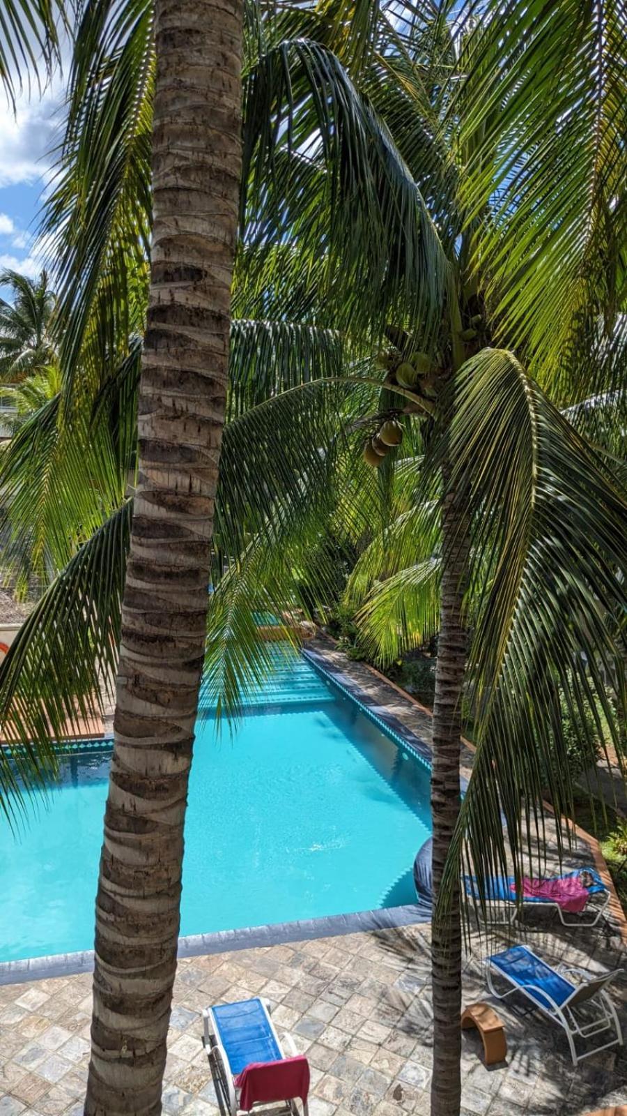 Charming Apartment Close To Beach & Amenities - Appartement De Charme Proche Plage Flic-en-Flacq Exterior foto